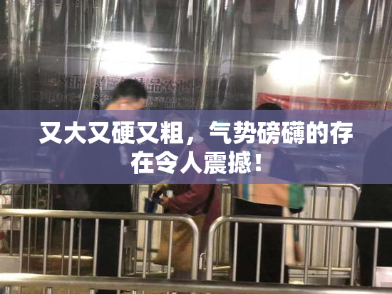 又大又硬又粗，气势磅礴的存在令人震撼！