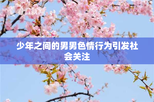 少年之间的男男色情行为引发社会关注