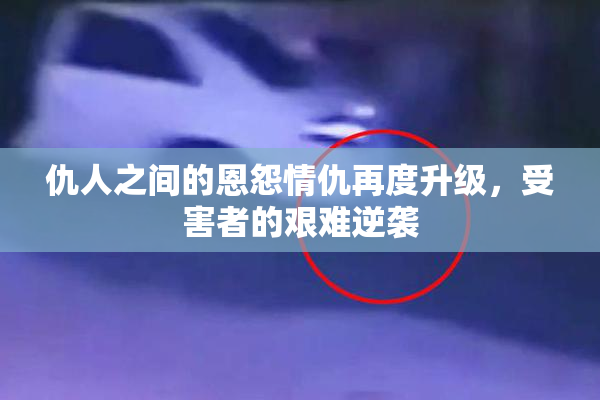 仇人之间的恩怨情仇再度升级，受害者的艰难逆袭