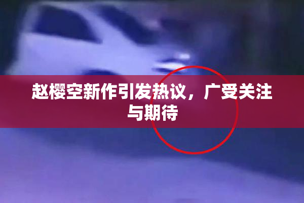 赵樱空新作引发热议，广受关注与期待