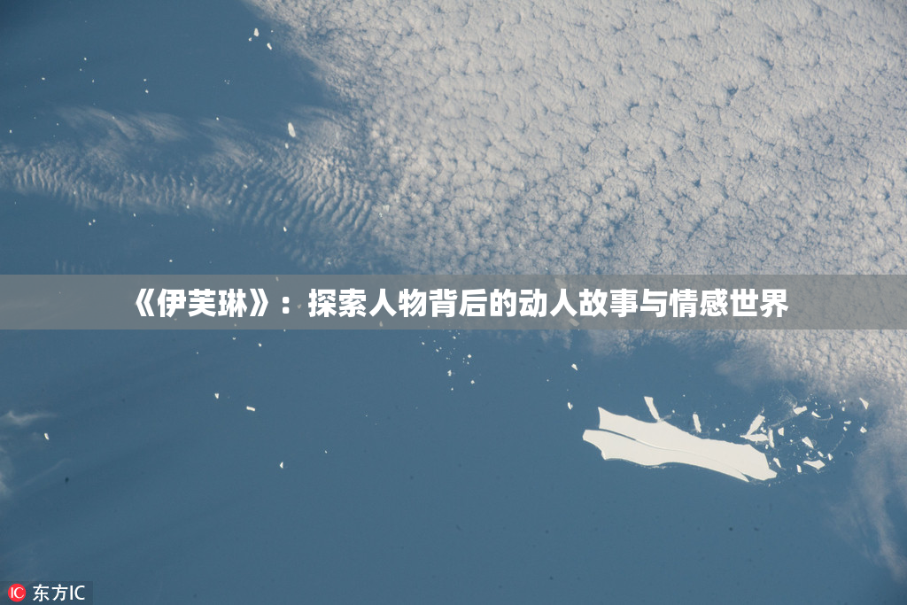《伊芙琳》：探索人物背后的动人故事与情感世界