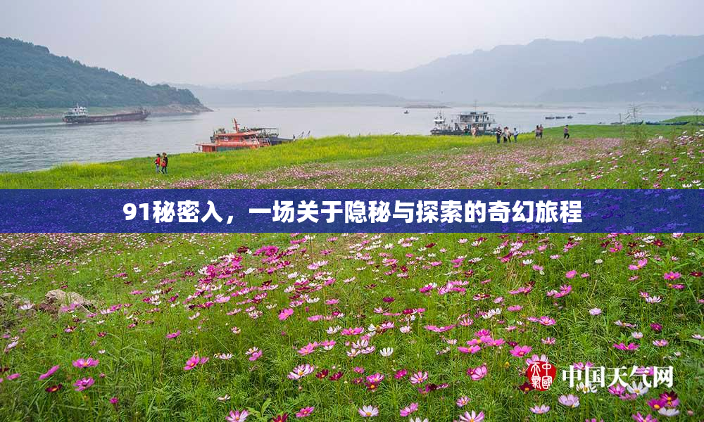 91秘密入，一场关于隐秘与探索的奇幻旅程
