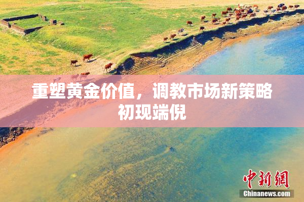 重塑黄金价值，调教市场新策略初现端倪