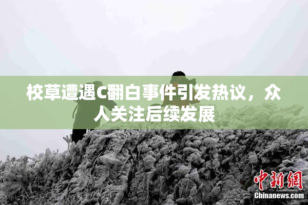 校草遭遇C翻白事件引发热议，众人关注后续发展