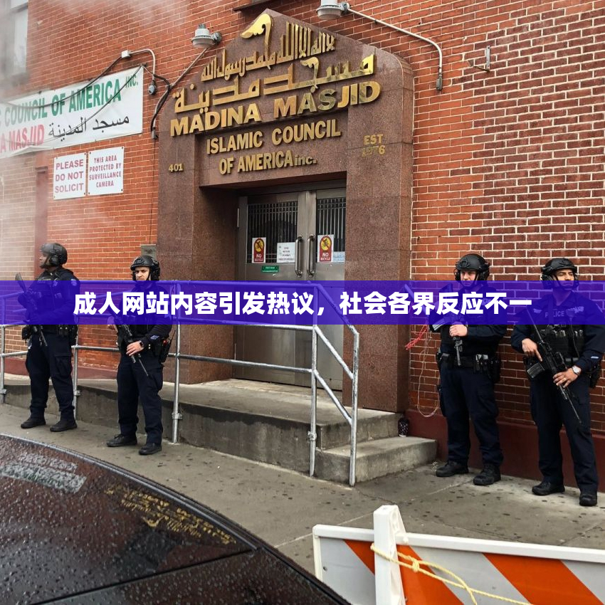 成人网站内容引发热议，社会各界反应不一