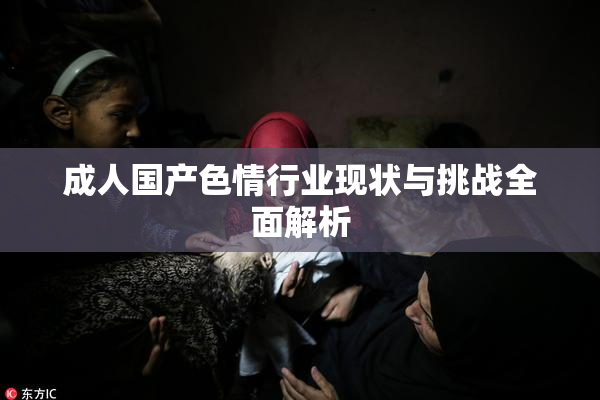 成人国产色情行业现状与挑战全面解析