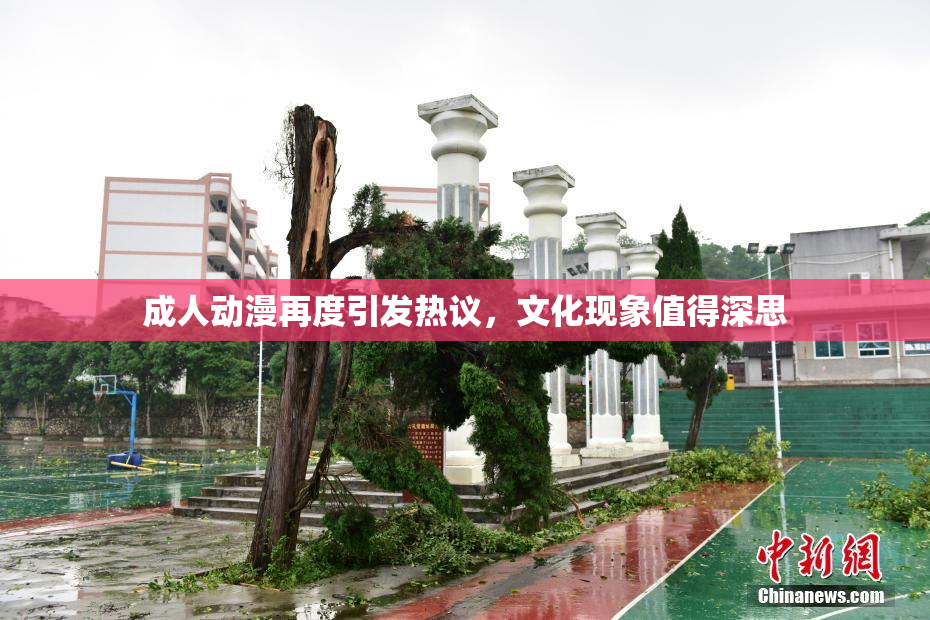 成人动漫再度引发热议，文化现象值得深思