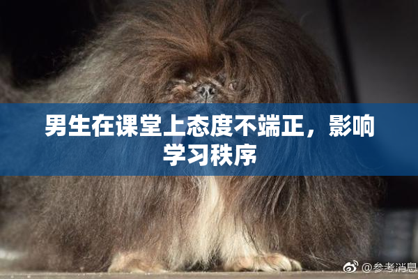 男生在课堂上态度不端正，影响学习秩序