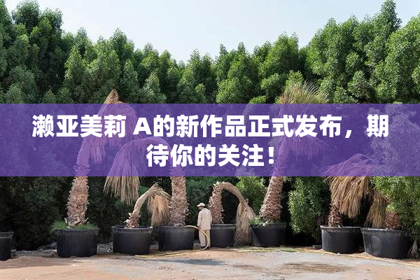 濑亚美莉 A的新作品正式发布，期待你的关注！