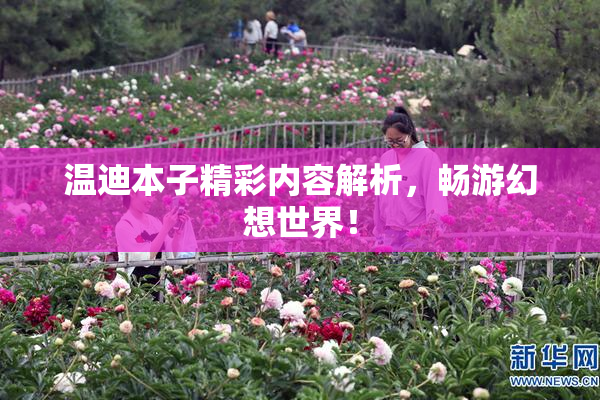 温迪本子精彩内容解析，畅游幻想世界！