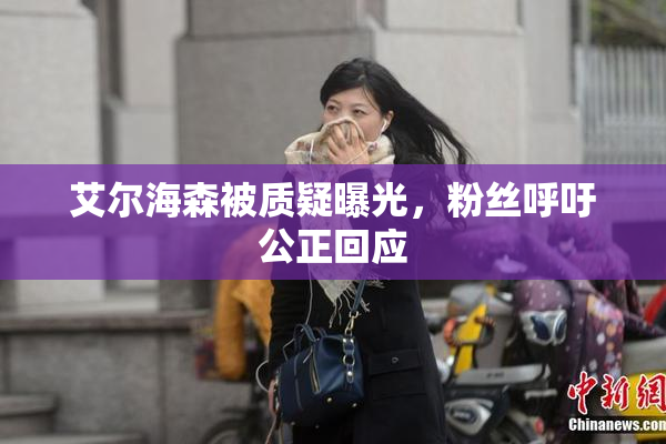艾尔海森被质疑曝光，粉丝呼吁公正回应