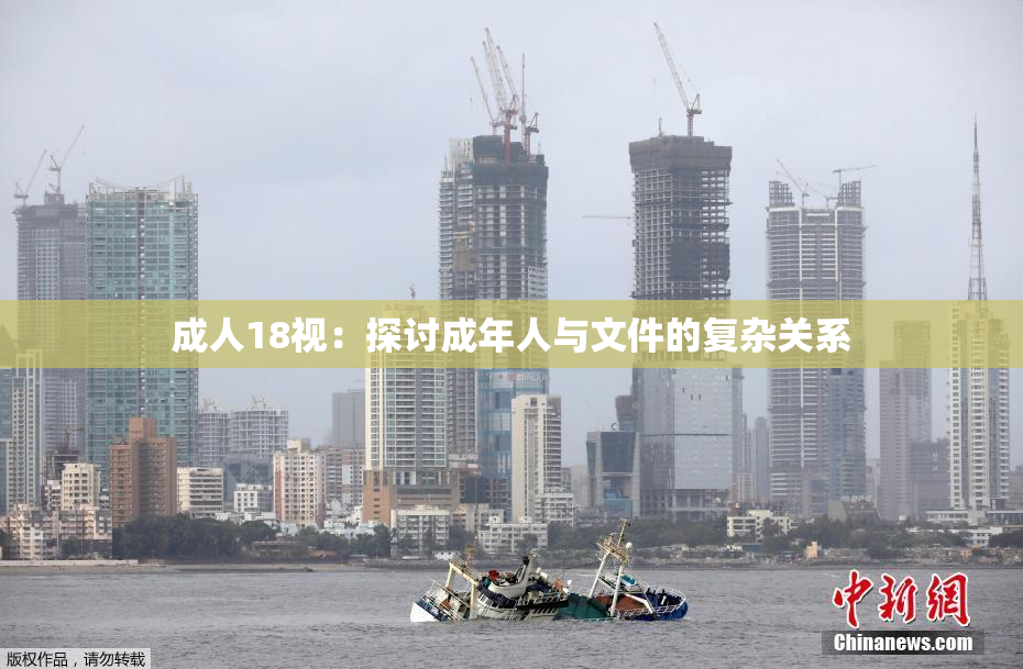 成人18视：探讨成年人与文件的复杂关系