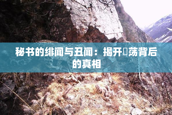 秘书的绯闻与丑闻：揭开婬荡背后的真相