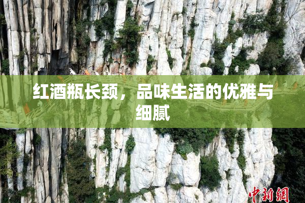 红酒瓶长颈，品味生活的优雅与细腻