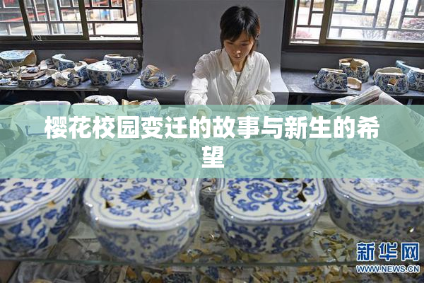 樱花校园变迁的故事与新生的希望