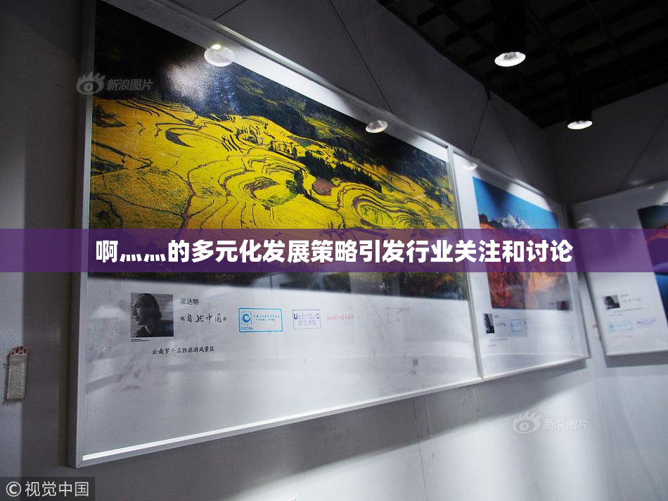 啊灬灬的多元化发展策略引发行业关注和讨论