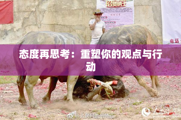 态度再思考：重塑你的观点与行动