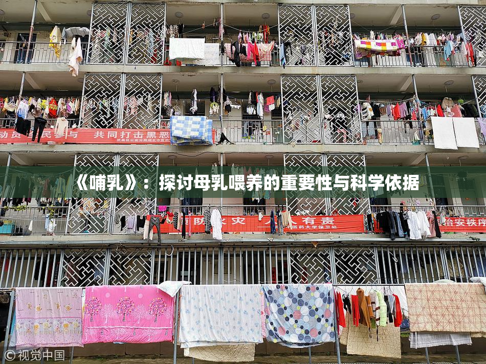 《哺乳》：探讨母乳喂养的重要性与科学依据