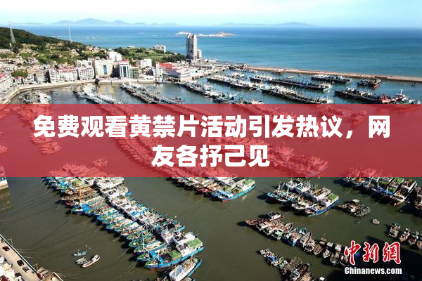 免费观看黄禁片活动引发热议，网友各抒己见