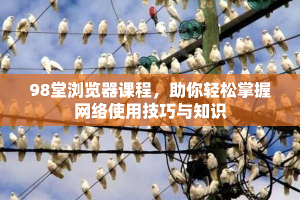98堂浏览器课程，助你轻松掌握网络使用技巧与知识