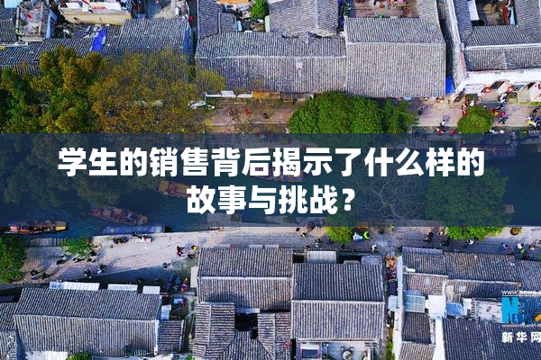 学生的销售背后揭示了什么样的故事与挑战？