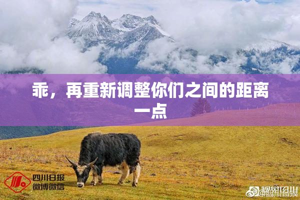 乖，再重新调整你们之间的距离一点