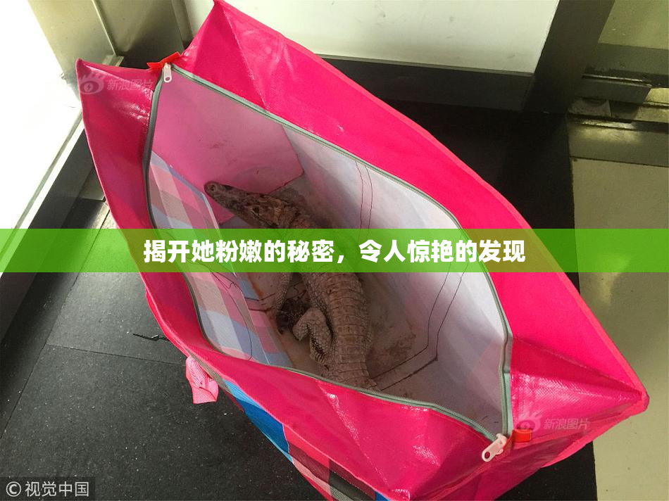 揭开她粉嫩的秘密，令人惊艳的发现
