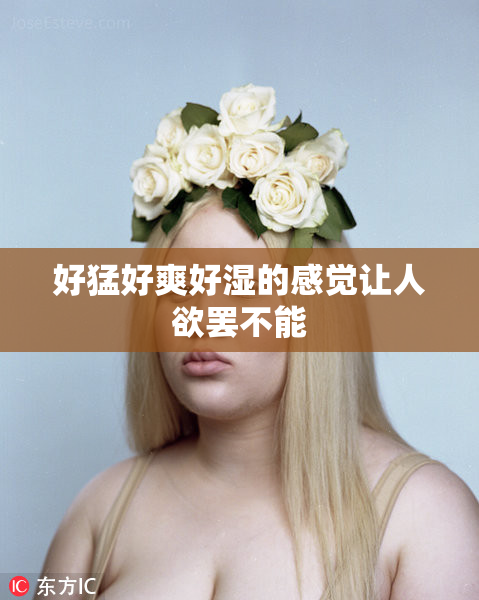 好猛好爽好湿的感觉让人欲罢不能
