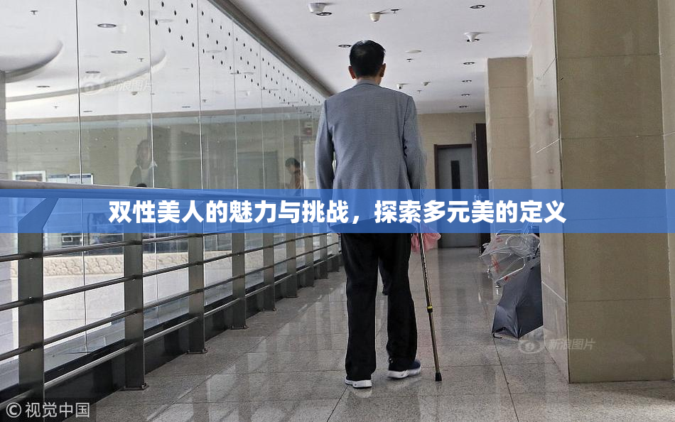 双性美人的魅力与挑战，探索多元美的定义