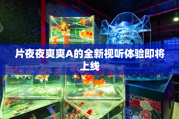 片夜夜爽爽A的全新视听体验即将上线