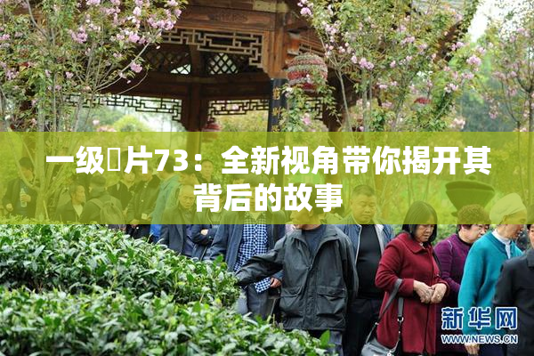 一级婬片73：全新视角带你揭开其背后的故事
