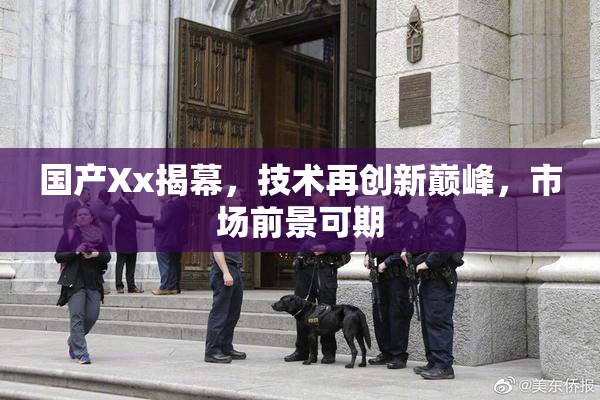 国产Xx揭幕，技术再创新巅峰，市场前景可期
