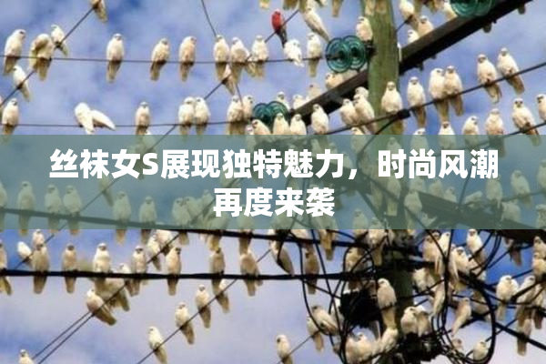 丝袜女S展现独特魅力，时尚风潮再度来袭