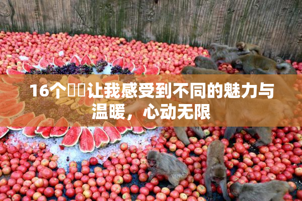 16个妺妺让我感受到不同的魅力与温暖，心动无限