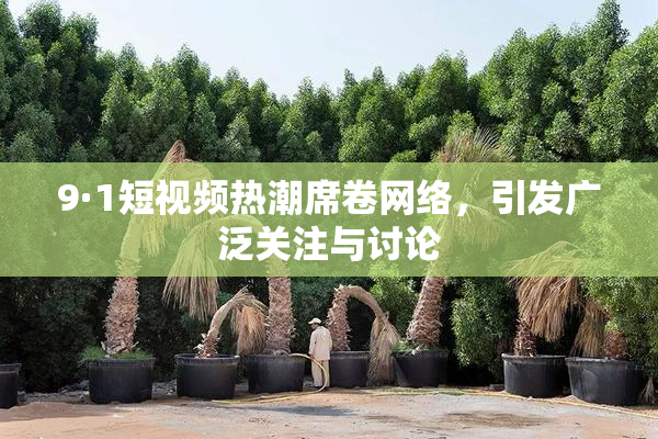 9·1短视频热潮席卷网络，引发广泛关注与讨论