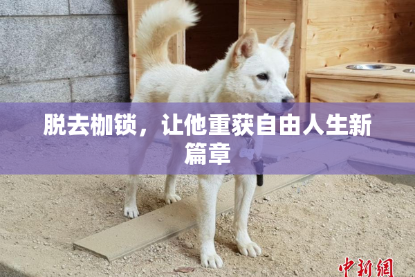 脱去枷锁，让他重获自由人生新篇章