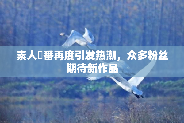 素人蘭番再度引发热潮，众多粉丝期待新作品