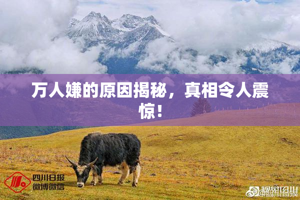 万人嫌的原因揭秘，真相令人震惊！
