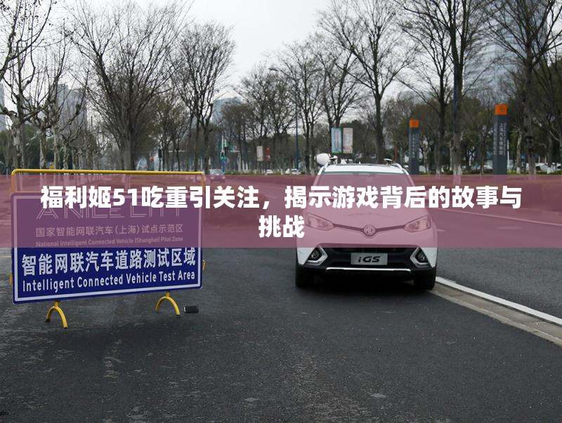 福利姬51吃重引关注，揭示游戏背后的故事与挑战