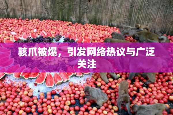 骇爪被爆，引发网络热议与广泛关注
