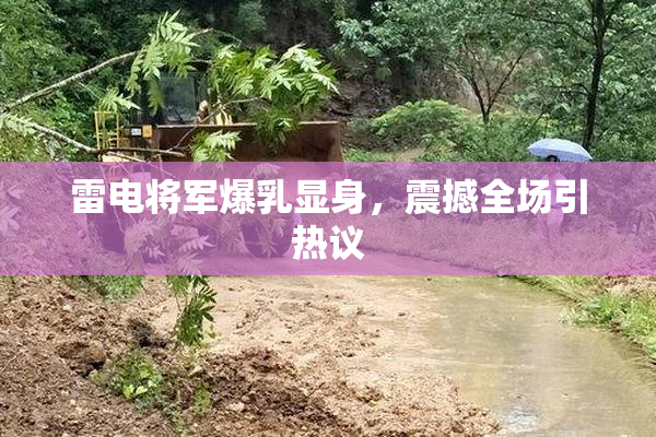 雷电将军爆乳显身，震撼全场引热议