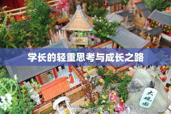 学长的轻重思考与成长之路