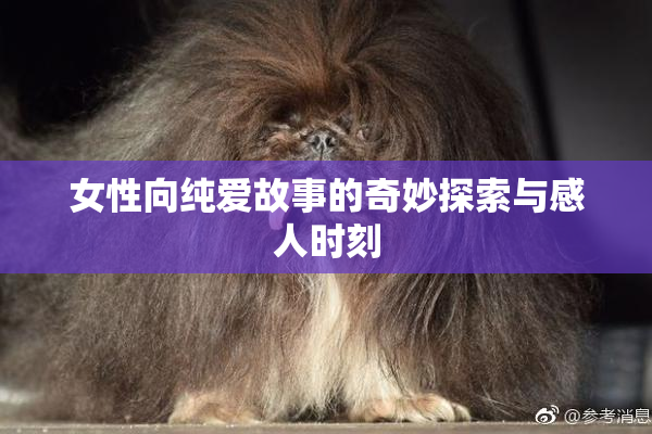 女性向纯爱故事的奇妙探索与感人时刻