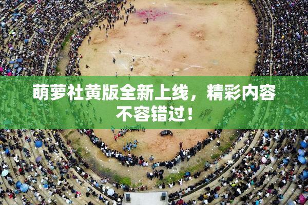 萌萝社黄版全新上线，精彩内容不容错过！