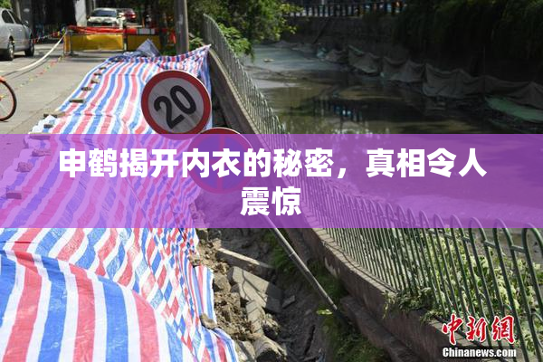 申鹤揭开内衣的秘密，真相令人震惊