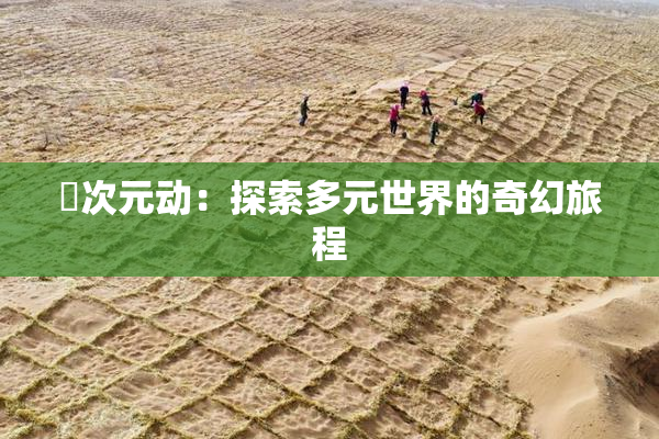 囧次元动：探索多元世界的奇幻旅程