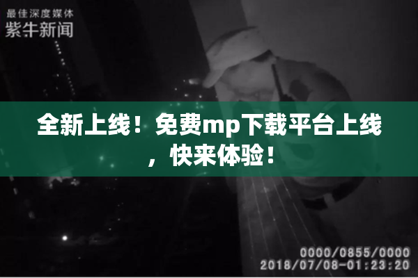 全新上线！免费mp下载平台上线，快来体验！