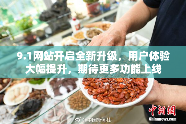 9.1网站开启全新升级，用户体验大幅提升，期待更多功能上线