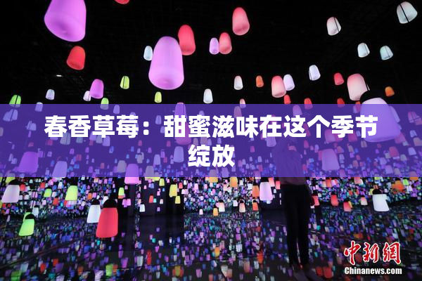 春香草莓：甜蜜滋味在这个季节绽放