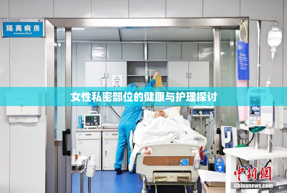 女性私密部位的健康与护理探讨